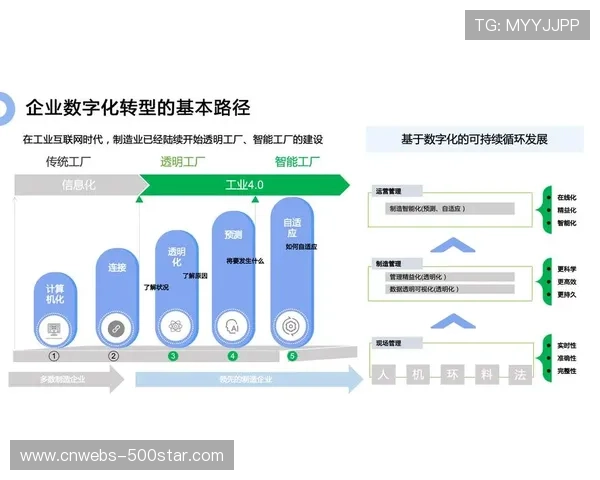 意甲赞助商新增科技企业，数字化转型加速