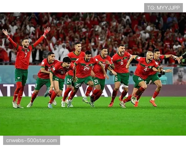 多家博彩公司调整世界杯夺冠赔率,新西兰仍居榜首,法国紧随其后